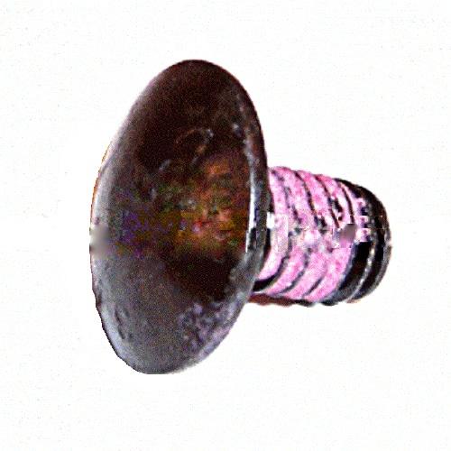 Karcher 5/16-18 X 1/2 Carriage Bolt A3 - 9.196-308.0