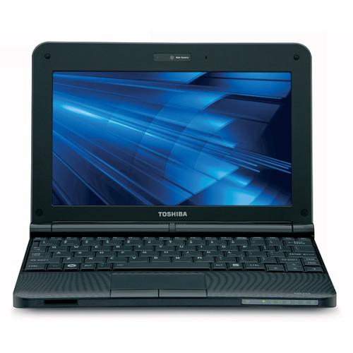 Toshiba Computer NB255N250