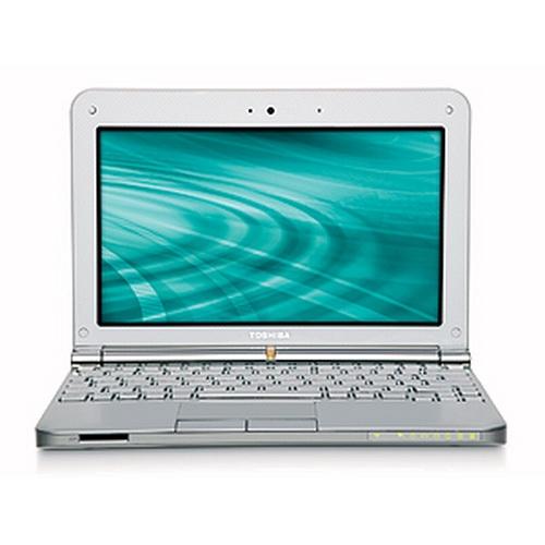 Toshiba Computer NB205N311/W