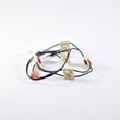 Electrolux Wiring Harness,W/Igntr Switch - 318232660