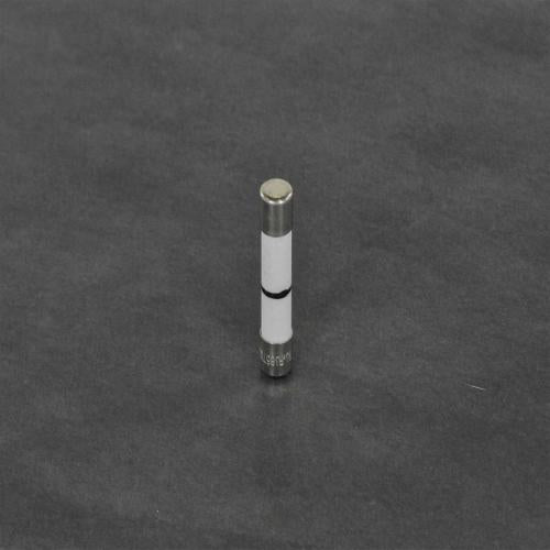 LG Microwave Main Inline Time Delay Fuse - 3B74133Q