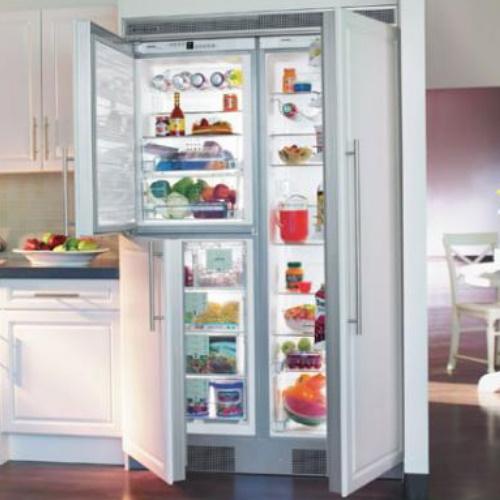 Liebherr BFI1051 24 Inch Built-in BioFresh Refrigerator/Freezer Combination with 1 Glass Shelf