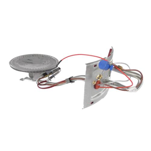 Rheem Assembly Burner/Door-18 Dia-Na - AM44972