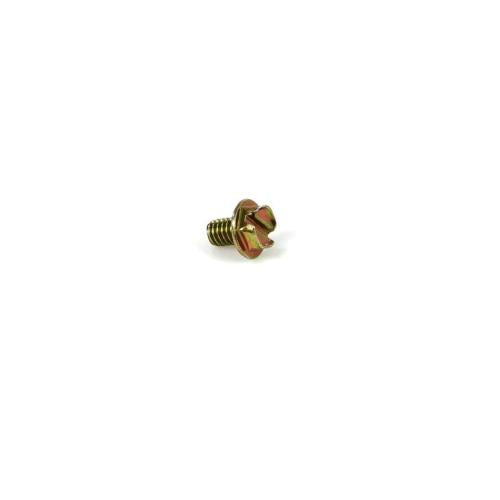 Whirlpool Dryer Screw - WP488234