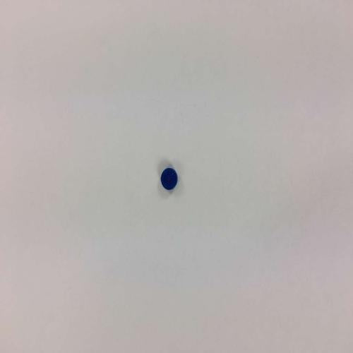 Toshiba Computer Acccupoint Cap - P000730900