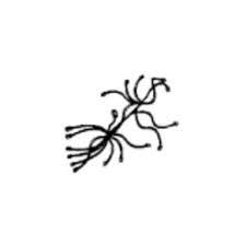 Samsung Assembly Main Wire Harness - DE96-01056E